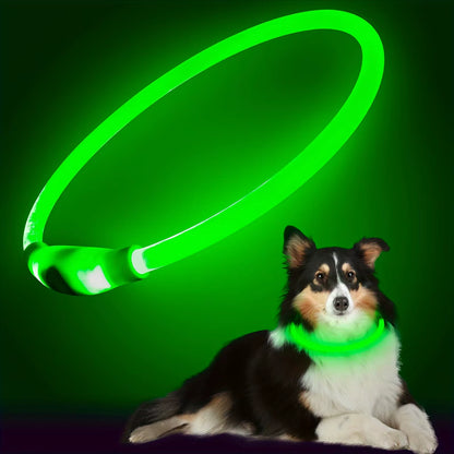 Pet Dog LED Light Collar Luminous Anti-Lost Dog Collar USB Rechargeable Dog Necklace Collar